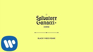 Salvatore Ganacci  Horse Black V Neck Remix Official Audio [upl. by Eiderf539]