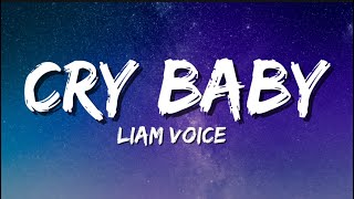 Liam Voice  Cry Baby Lyrics [upl. by Dianthe]