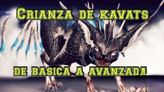 Guía Warframe 17 quotCrianza de Kavats de basico a avanzadoquot [upl. by Eelyab]