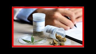 Asthma Krebstumore oder MS Bei welchen Krankheiten Cannabis hilft [upl. by Aelanej]