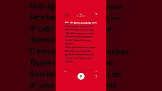 Lan  Lyrics Edit  Speed Up  shorts keşfet edit tiktok spotify [upl. by Nuyh175]