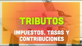 Tributos  Impuestos Tasas y Contribuciones [upl. by Raeann443]