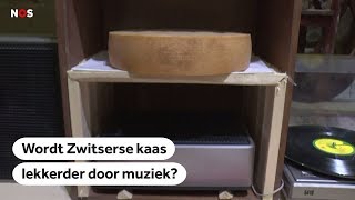 KAZEN Deze kaasmaker speelt muziek tijdens de rijping van zijn kazen [upl. by Cordova]