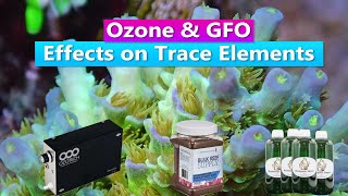 Ozone amp GFO  Effects on Trace Elements [upl. by Lillith241]