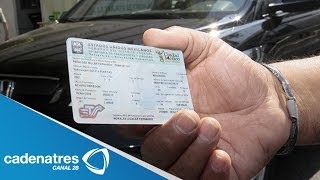 Se convierte en calvario el tramite para sacar tarjeta de circulación [upl. by Perkoff]