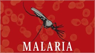 Malaria [upl. by Airlia184]