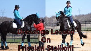 Dressage Lesson on a Friesian Stallion Small Vlog [upl. by Vlada]