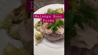 Best Malanga Root PuréeLectin Free Recipes [upl. by Dinin]