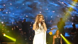 Celine Dion  Terre Paris Bercy November 25th 2013 [upl. by Gunthar]