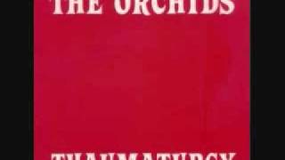 The Orchids  Thaumaturgy 1993 [upl. by Manville]