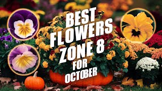 Best Flowers to Plant in October for a Colorful Zone 8 Fall Garden [upl. by Wiebmer195]