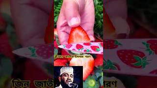 জিন জাতির ইসলাম গ্রহণ।😯 mizanur rahman azhari waz trending shortsvideo islamicvideo [upl. by Hollie178]