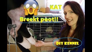 Kat breekt poot  Operatie en Hoe verliep de eerste weekDIY Kennel [upl. by Itoc]