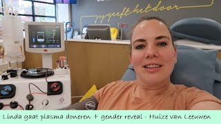 LINDA GAAT PLASMA DONEREN  GENDER REVEAL  HUIZE VAN LEEUWEN [upl. by Ezirtaeb339]