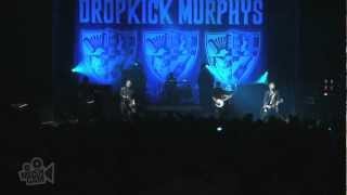 Dropkick Murphys  Fighting 69th Live in Sydney  Moshcam [upl. by Aden]