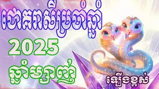 រាសីឆ្នាំម្សាញ់ 2025 Snake Horoscope 2025 [upl. by Hakceber]