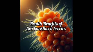 Sea buckthorn berries benefit [upl. by Enirhtac770]