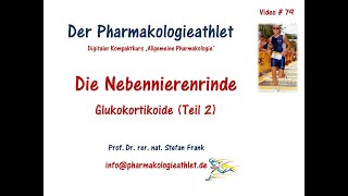 Stresshormon Cortisol Lebensretter und Gesundheitskiller  Teil 2 [upl. by Lyrradal]