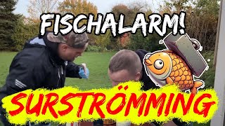 Wir probieren SURSTRÖMMING 🐟☣️ [upl. by Goldman]