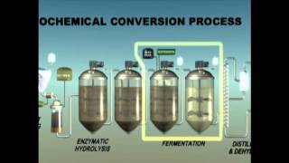 Biochemical Enzymatic Hydrolysis [upl. by Nipsirc]