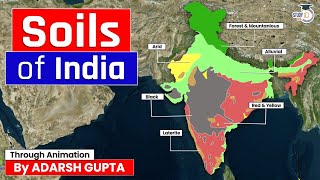 Soils of India Explained through 3D Animation  Indian Geography  UPSC GS1 [upl. by Asiled]