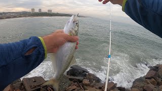 SMASHING THE SHAD at BLUE LAGOON DURBAN KZN [upl. by Bautista]