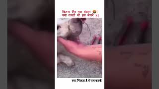 ritik dog kennel please help tha dog s 🥹🥹doglover video dogaggression trending love [upl. by Assilav817]