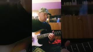 Nirvana The Man who sold the World cover [upl. by Philly]