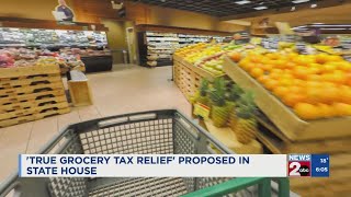 True grocery tax relief proposed in TN [upl. by Marena]