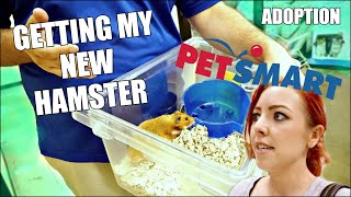 GETTING MY NEW HAMSTER  Petsmart Adoption  Syrian Hamster [upl. by Eesak766]