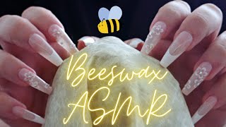 BEESWAX WRAP ASMR 🐝 Lots of Tapping Scratching amp Crinkles 🐝 No Talking [upl. by Radbun]