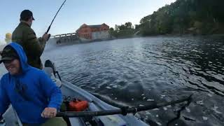 Salmon Fishing the Muskegon River for early Kings on Thundersticks  Fall 2024 [upl. by Anoet]