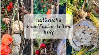 Vogelfutter Stelle herbstlich dekorativ gestalten diy meisen vogelfutter futterplatz garden [upl. by Nomihs439]