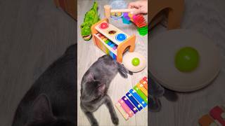 Ball Mallet and Cat 🐈 Satisfying Video ASMR Relaxing Oddly Xylophone Sound xylophone asmr cat [upl. by Aciretnahs]