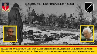 Baugnez and Ligneuville 1944 Survivor witness and SS interviews [upl. by Jotham543]