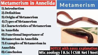 Metamerism in Annelida  Metamerism [upl. by Alegnaoj]