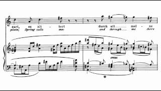 Richard Strauss  Four Last Songs 14 [upl. by Anawahs]