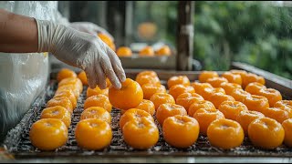 Japan Dried Persimmon Processing  Amazing Asia Agriculture Fruit Harvesting [upl. by Ballard]