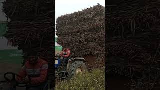 short video tractor King formatic Swaraj [upl. by Auqkinahs]