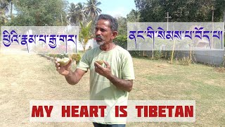 An Indian man tellsquoti am Indian by birth but Tibetan by heartquot karmawoeser [upl. by Harrie]