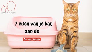 De kattenbak  deze 7 eigenschappen vindt je kat belangrijk [upl. by Leelaj]