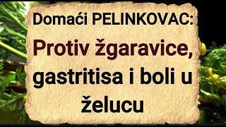 Recept za domaći PELINKOVAC Protiv žgaravice gastritisa i boli u želucu  Lijek od slatke bundeve [upl. by Alebasi]