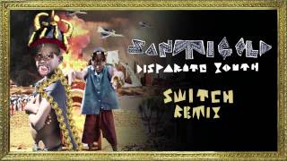 Santigold  Disparate Youth Switch Remix Official Audio [upl. by Thia]