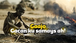 Gaajaddii hindiya Sidee ingiriisku sabab ugu noqday dhimashadda in ka badan 10 million oo qof [upl. by Dloraj836]