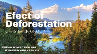 SCIENCE PROJECT TOPICS ABOUT EFFECTS OF DEFORESTATION [upl. by Soalokin785]