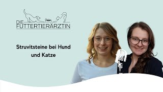 Struvitsteine bei Hund und Katze [upl. by Cristal]