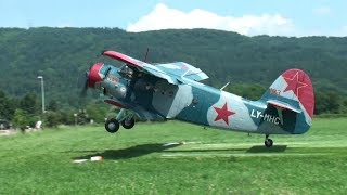 ✈ GREAT Antonov AN2  world biggest singleengine biplane  DDay Sisseln Switzerland [upl. by Alahcim]