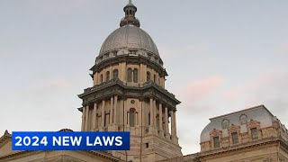 New laws Illinois 2024 Minimum wage increase ban on book bans and more [upl. by Gobert]