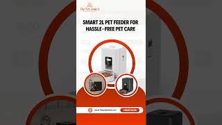 Smart 2L Pet Feeder Automatic Food Dispenser for Cats amp Dogs [upl. by Berkman]