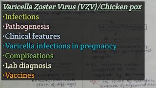 VZV  Chicken pox  Pathogenesis  Chicken pox in pregnancy  Complication  Lab diagnosis  Vaccine [upl. by Mij]